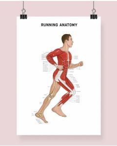 Running Anatomy Fine Art Framed Print (Male) With Mount Natural Wood A2 [Pack of 1]
