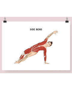 Pilates Side Bend Fine Art Illustration Framed Print (No Mount ) A4 Black [Pack of 1]