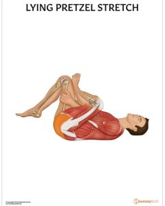 Lying Pretzel Stretch Chart / Poster - Laminated [Pack of 1]