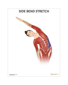 Side Bend Stretch Chart / Poster - Laminated [Pack of 1]