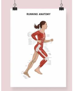 Running Anatomy Fine Art Framed Print (Female) With Mount A2 NONE  [Pack of 1]