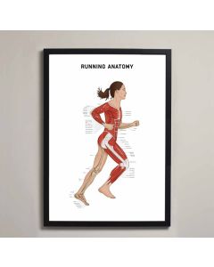 Running Anatomy Fine Art Framed Print (Female) (No Mount ) A1 White  [Pack of 1]