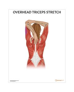 Overhead Triceps Stretch Chart / Poster - Laminated [Pack of 1]