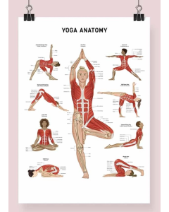 Yoga Anatomy Fine Art  Framed Print (No Mount ) A2 Natural Wood  [Pack of 1]