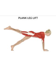 Plank Leg Lift Pilates Pose Chart / Poster - Laminated [Pack of 1]