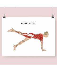 Pilates Plank Leg Lift Fine Art Illustration Framed Print With Mount A3 Black [Pack of 1]