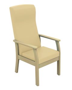 Atlas Patient High-Back Arm Chair - (Anti-bacterial Vinyl)