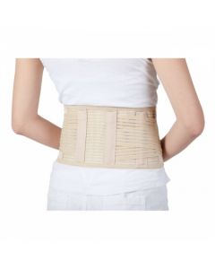 6-inch Lumbar Support with 4 Plastic Stays (Small) [Pack of 1]