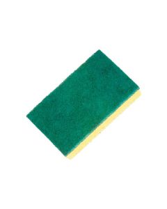 Economy Sponge Scourer 14x9cm [Pack of 10]