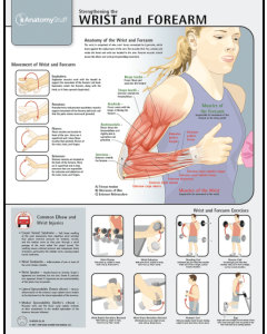 Strengthening the Wrist and Forearm Chart / Poster - Laminated [Pack of 1]