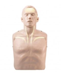 Brayden CPR Manikin With Illumination LED Lights