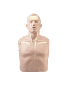 Brayden CPR Manikin With Red Illumination LED Lights