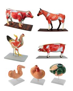 Realityworks Barnyard Package [Pack of 1]