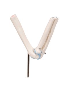 Mini Elbow Joint Model with Cross-Section [Pack of 1]