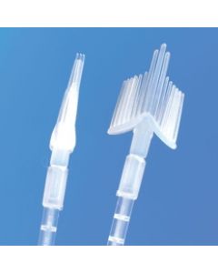 ProSpec Probrush - Cervical Sampling Brushes, Brush Is Removable To Go To Path Lab [Pack of 25]