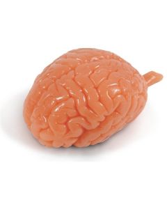 Biolike Soft Brain Model [Pack of 1]