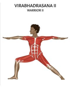 Warrior II Pose Yoga Chart / Poster - Laminated [Pack of 1]