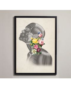 Vintage Floral Head and Neck Anatomy Fine Art Framed Print With Mount  White A3 [Pack of 1]