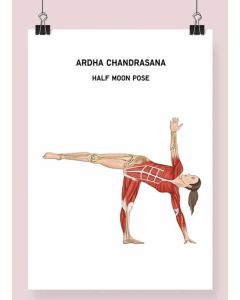 Yoga Half Moon Pose Fine Art Illustration Framed Print (No Mount ) A1 White [Pack of 1]