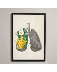 Vintage Floral Lungs Anatomy Fine Art Framed Print (No Mount ) None A4[Pack of 1]
