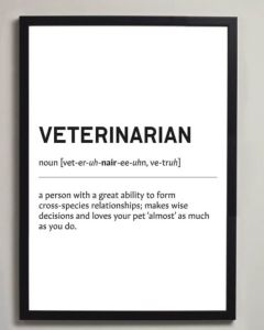 Veterinarian Definition Framed Print With Mount Black A1 [Pack of 1]
