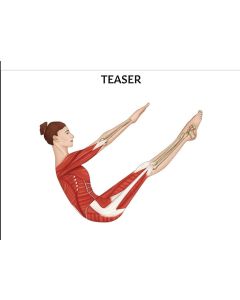 Teaser Pilates Pose Chart / Poster - Laminated  [Pack of 1]