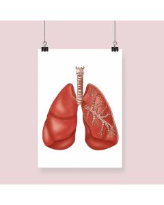 Respiratory System Anatomy Fine Art Illustration Print No Frame A4 [Pack of 1]