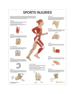 Sports Injuries Chart / Poster - Laminated [Pack of 1]