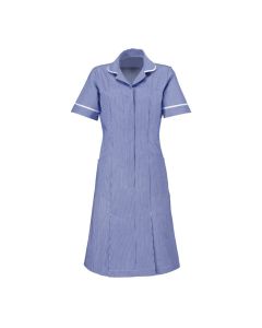 Striped Dress Navy/White Colour