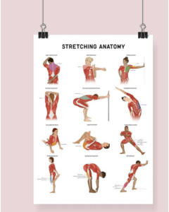 Stretching Anatomy Fine Art Print Black  [Pack of 1]