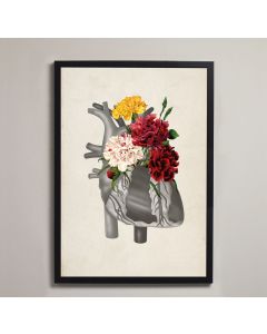 Vintage Floral Heart Anatomy Fine Art Framed Print With Mount White A4[Pack of 1]