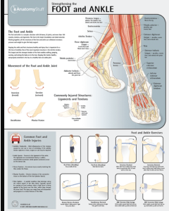 Strengthening the Foot and Ankle Chart / Poster - Laminated [Pack of 1]