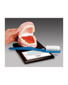 Mr. Clean Mouth with Giant Toothbrush Set [Pack of 1]