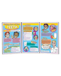 Taking Care Of Your Teeth Folding Display [Pack of 1]