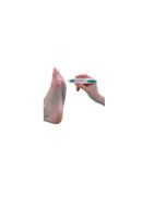 Diabetes Sensory Testing Pocket Filament
