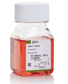 Gibco TrypLE Express Enzyme (1X), phenol red 10043382 [Pack of 1]