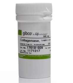 Gibco Collagenase, Type I, powder 10114532 [Pack of 1]