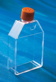 Corning Cell Culture Treated Flasks 10144001 [Pack of 25]