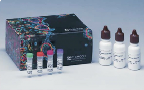 Merck Millipore Chemicon Embryonic Stem Cell Characterization Kit 10350244 [Pack of 1]