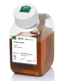 Gibco Horse Serum, heat inactivated, New Zealand origin 10368902 [Pack of 1]