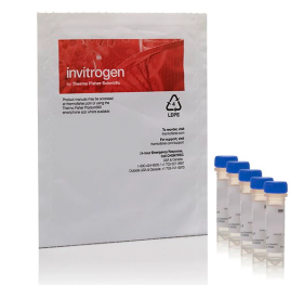 Invitrogen OxyBURST Green H2HFF BSA - Special Packaging 10389122 [Pack of 1]