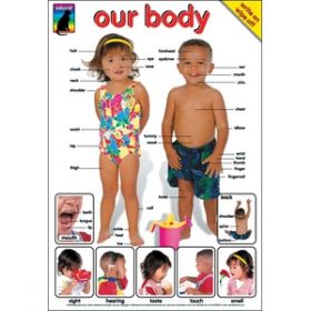 Our Body and Our Skeleton Posters [Pack of 2]