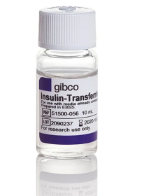 Gibco Insulin-Transferrin-Selenium-Ethanolamine (ITS -X) (100X) 10524233 [Pack of 1]