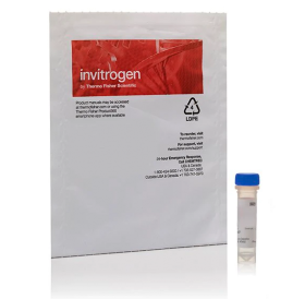 Invitrogen Low Density Lipoprotein from Human Plasma, Acetylated, DiI complex (DiI AcLDL) 10574053 [Pack of 1]