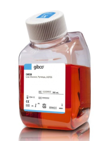 Gibco DMEM, low glucose, pyruvate, HEPES 10644633 [Pack of 1]