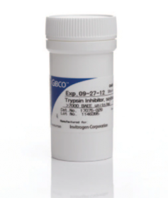 Gibco Soybean Trypsin Inhibitor, powder 10684033 [Pack of 1]