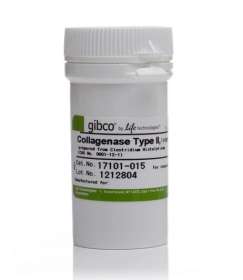 Gibco Collagenase, Type II, powder 10738473 [Pack of 1]