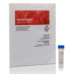 Invitrogen Low Density Lipoprotein from Human Plasma, DiI complex (DiI LDL) 10760194 [Pack of 1]