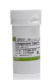 Gibco Collagenase, Type IV, powder 10780004 [Pack of 1]