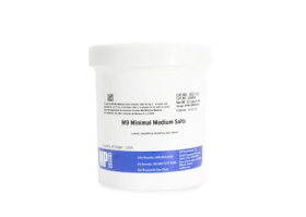 MP Biomedicals M9 Minimal Medium Salts (Maniatis Formulation), Powdered 11377689 [Pack of  1]